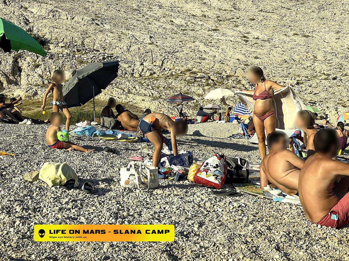 Life12